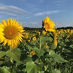 Pensionszimmer Im Fliederhof Apartment Michendorf