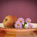 Pensionszimmer Im Fliederhof Apartment