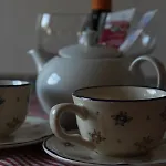 Pensionszimmer Im Fliederhof Apartment *