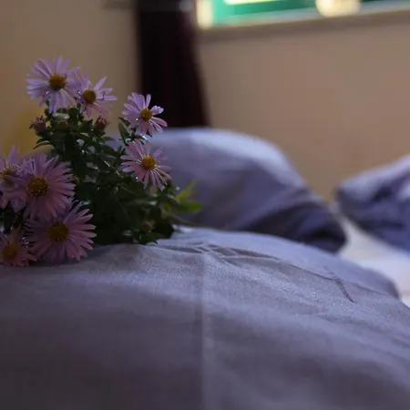 Pensionszimmer Im Fliederhof Apartmán