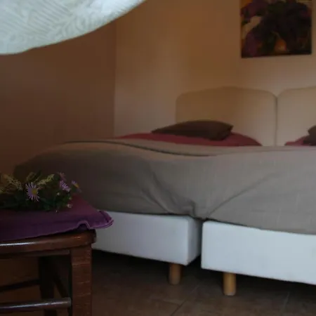 公寓 Pensionszimmer Im Fliederhof 米兴多夫