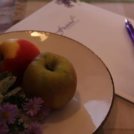 Pensionszimmer Im Fliederhof 米兴多夫