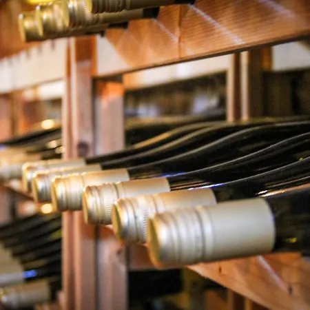 Pensionszimmer Im Fliederhof 公寓 米兴多夫