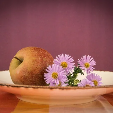 Pensionszimmer Im Fliederhof Apartmán