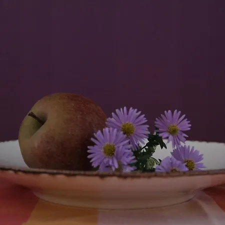 Pensionszimmer Im Fliederhof Apartmán *