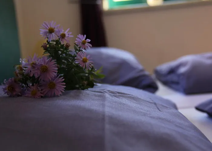 Pensionszimmer Im Fliederhof شقة