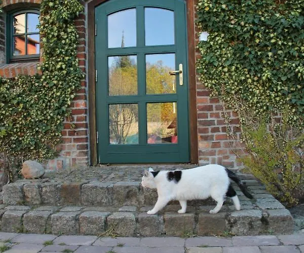 شقة Pensionszimmer Im Fliederhof