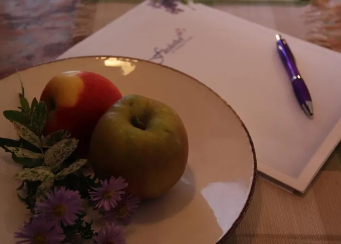 Pensionszimmer Im Fliederhof ميشيندورف