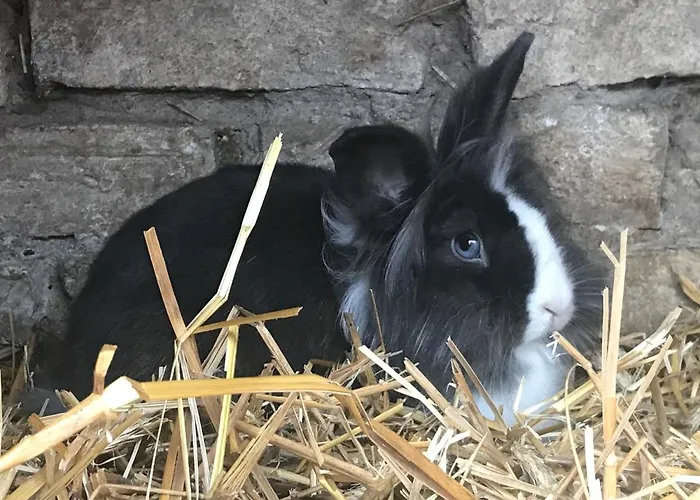 Apartamento Pensionszimmer Im Fliederhof Michendorf