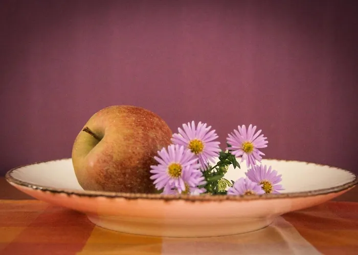 Pensionszimmer Im Fliederhof Apartamento
