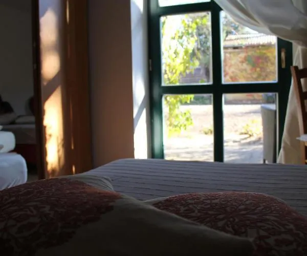 Pensionszimmer Im Fliederhof ميشيندورف